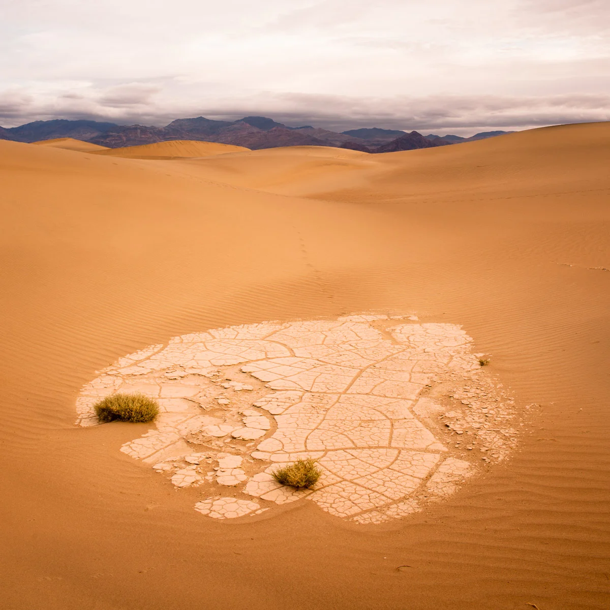 Mesquite dunes, Death Valley, USA