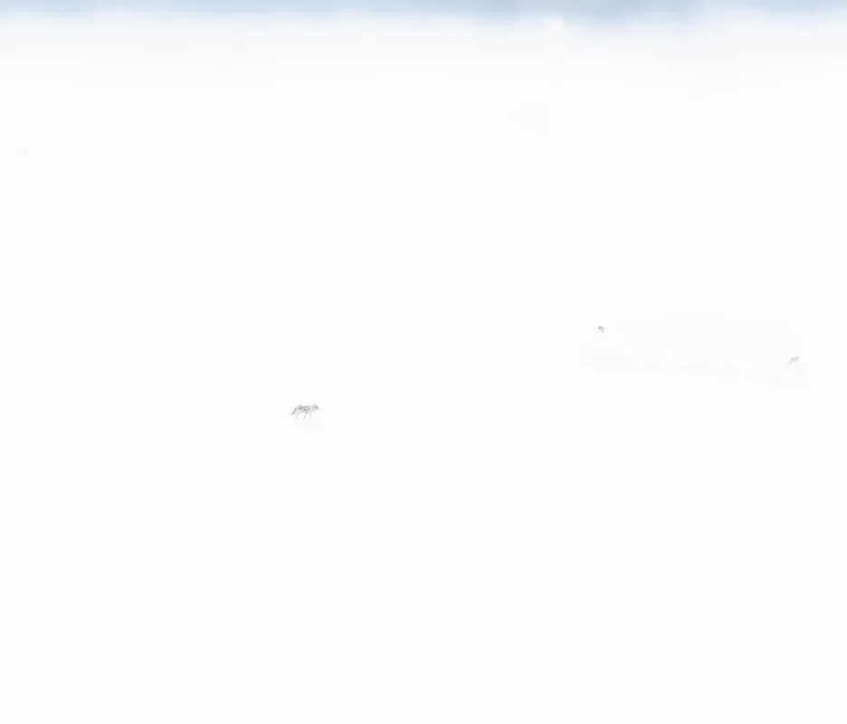 92.JPG