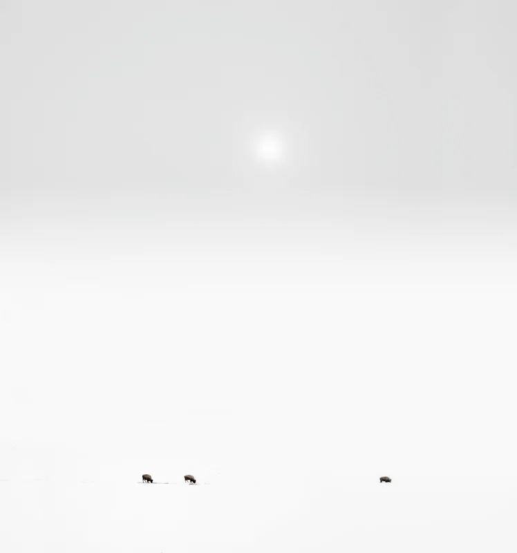 94.JPG