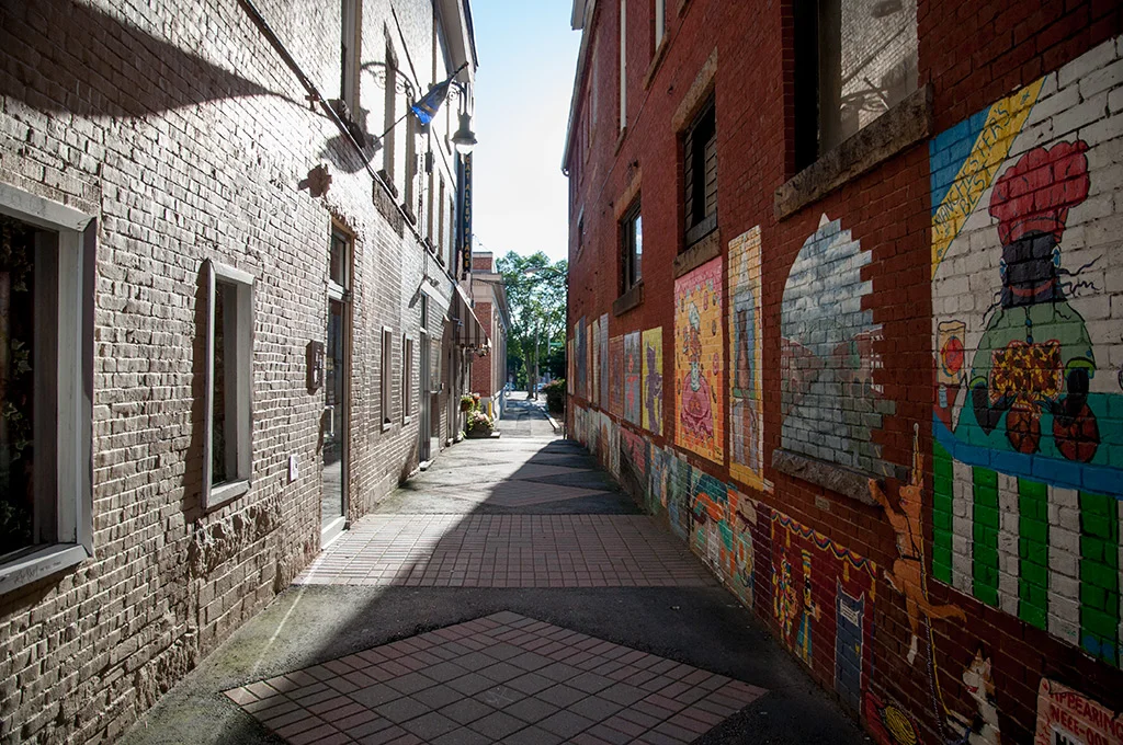 cat_alley.jpg