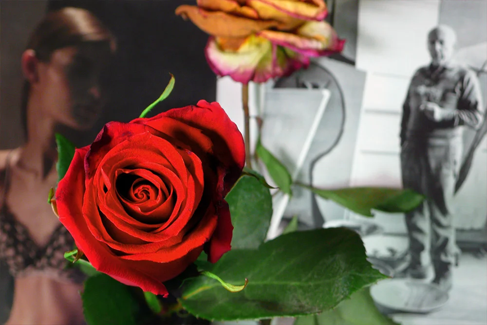 PropensityForRoses_009.jpg