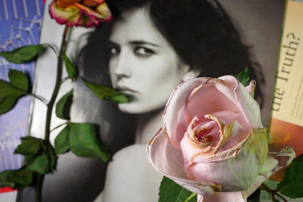 PropensityForRoses_011.jpg