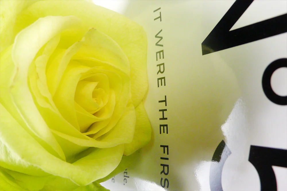 PropensityForRoses_004.jpg