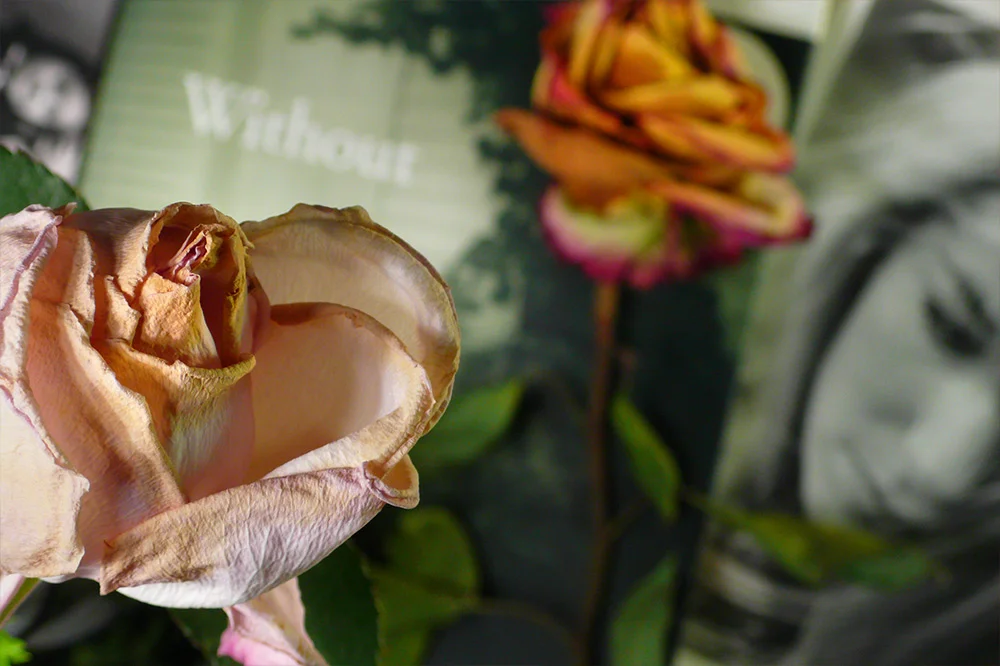 PropensityForRoses_002.jpg