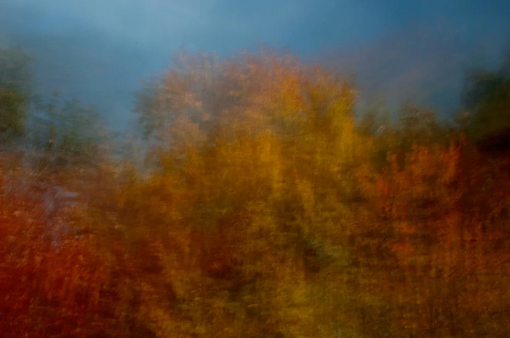 foliage_blur_02.jpg