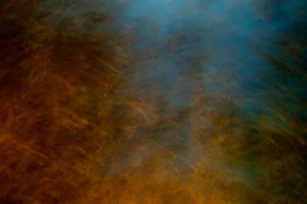 foliage_blur_04.jpg