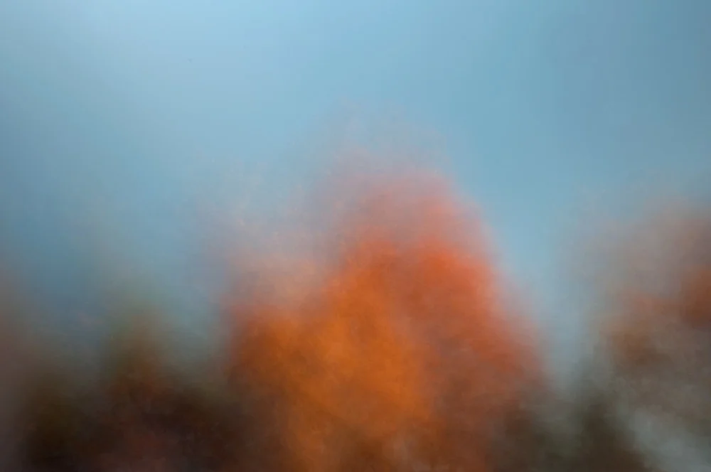foliage_blur_07.jpg