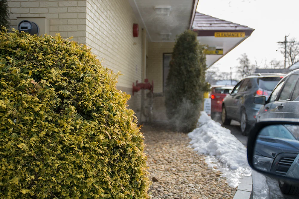 drivethru_first_d7100.jpg