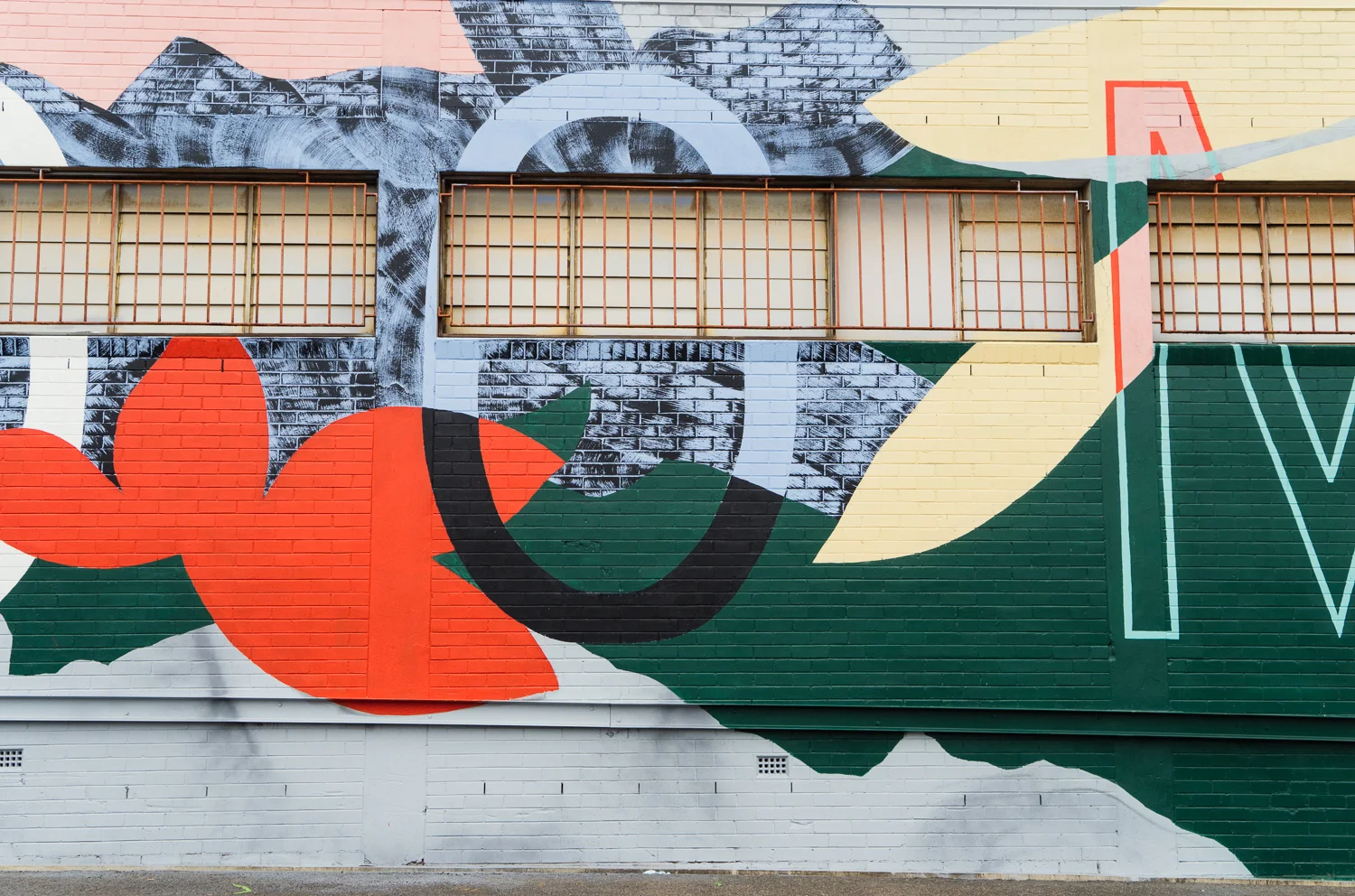 'In Bloom' 2017, 38m x 6 metres, Toowoomba, FirstCoat Mural festival