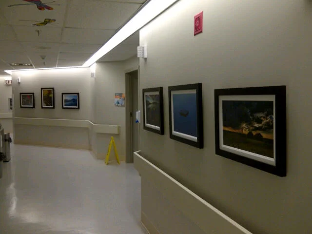 IMG-20111017-00242.jpg