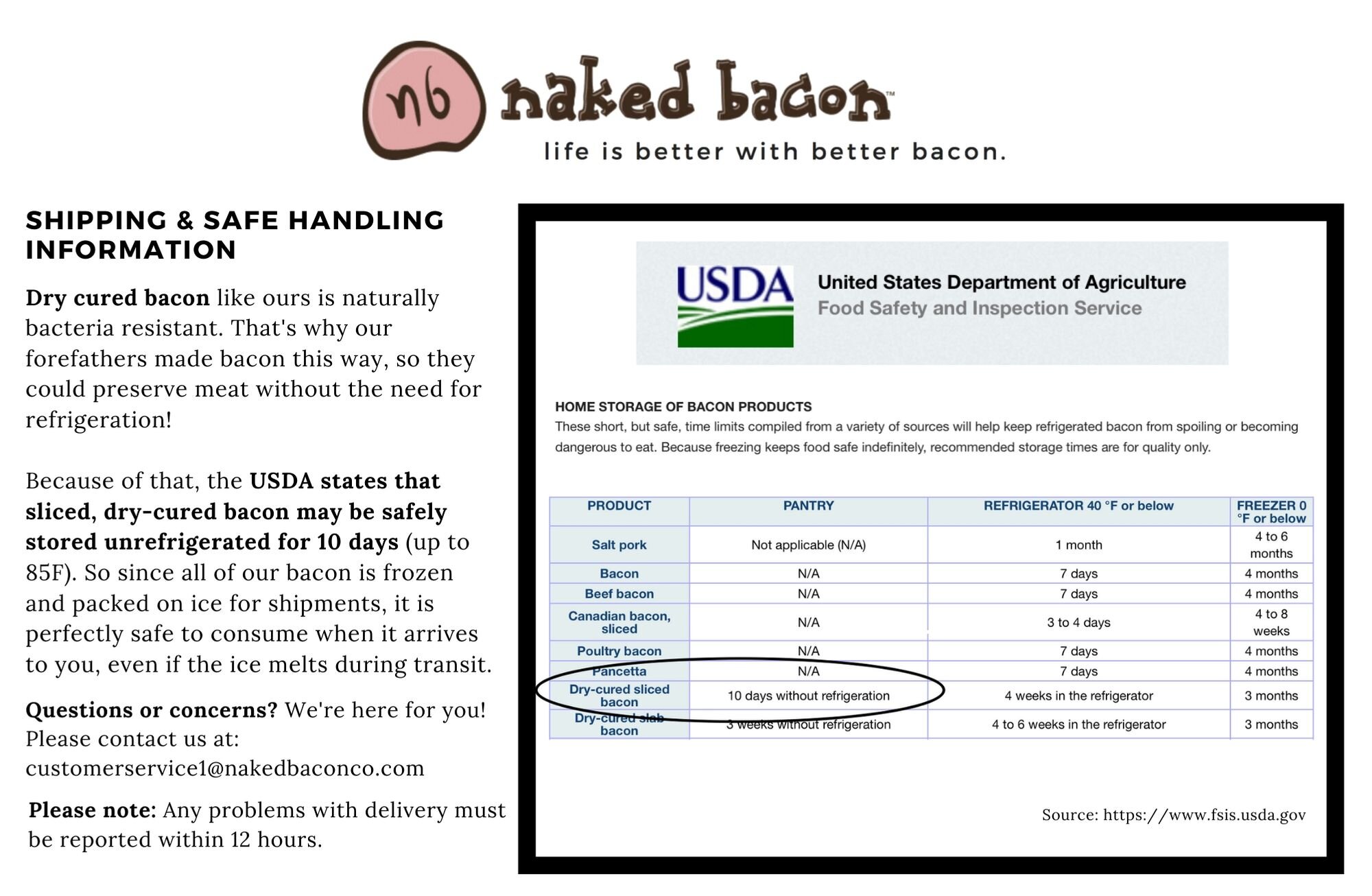 Naked Bacon Mailer - Updated.jpg
