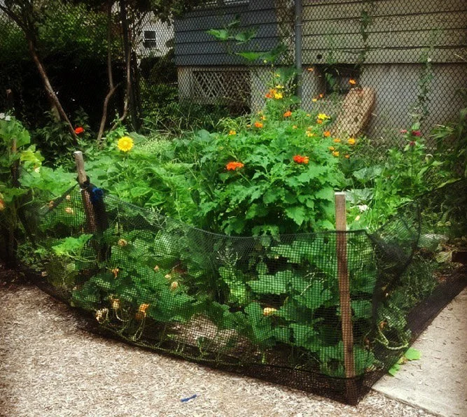 Garden at JP.jpg