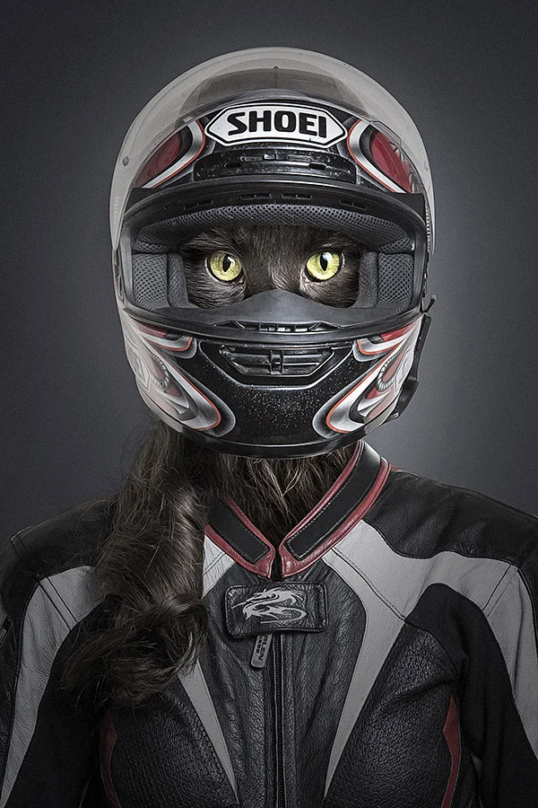 Undercats-Cats-Dressed-as-Their-Owners-are-a-Lot-of-5.jpg