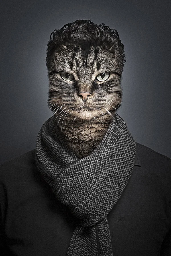 Undercats-Cats-Dressed-as-Their-Owners-are-a-Lot-of.jpg