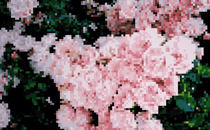 Art_2.jpg