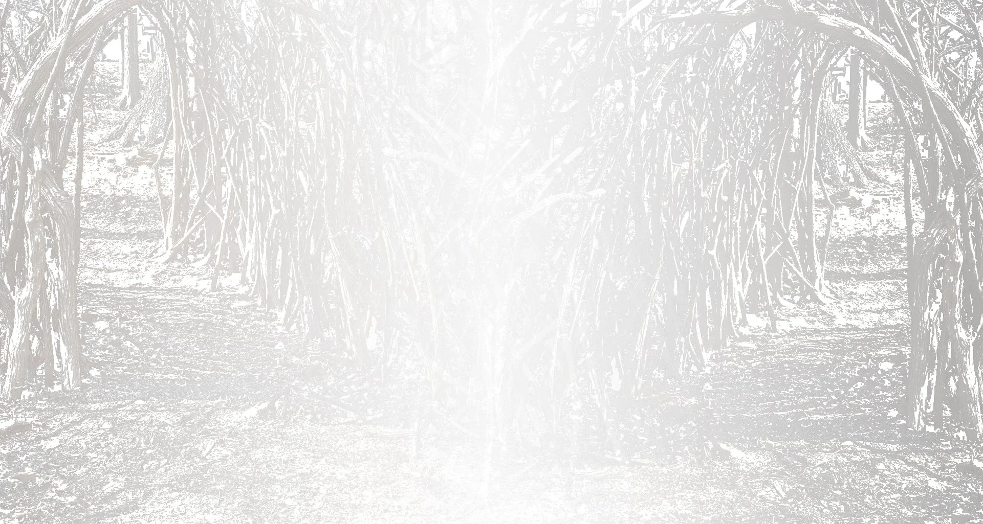 BG copy.jpg