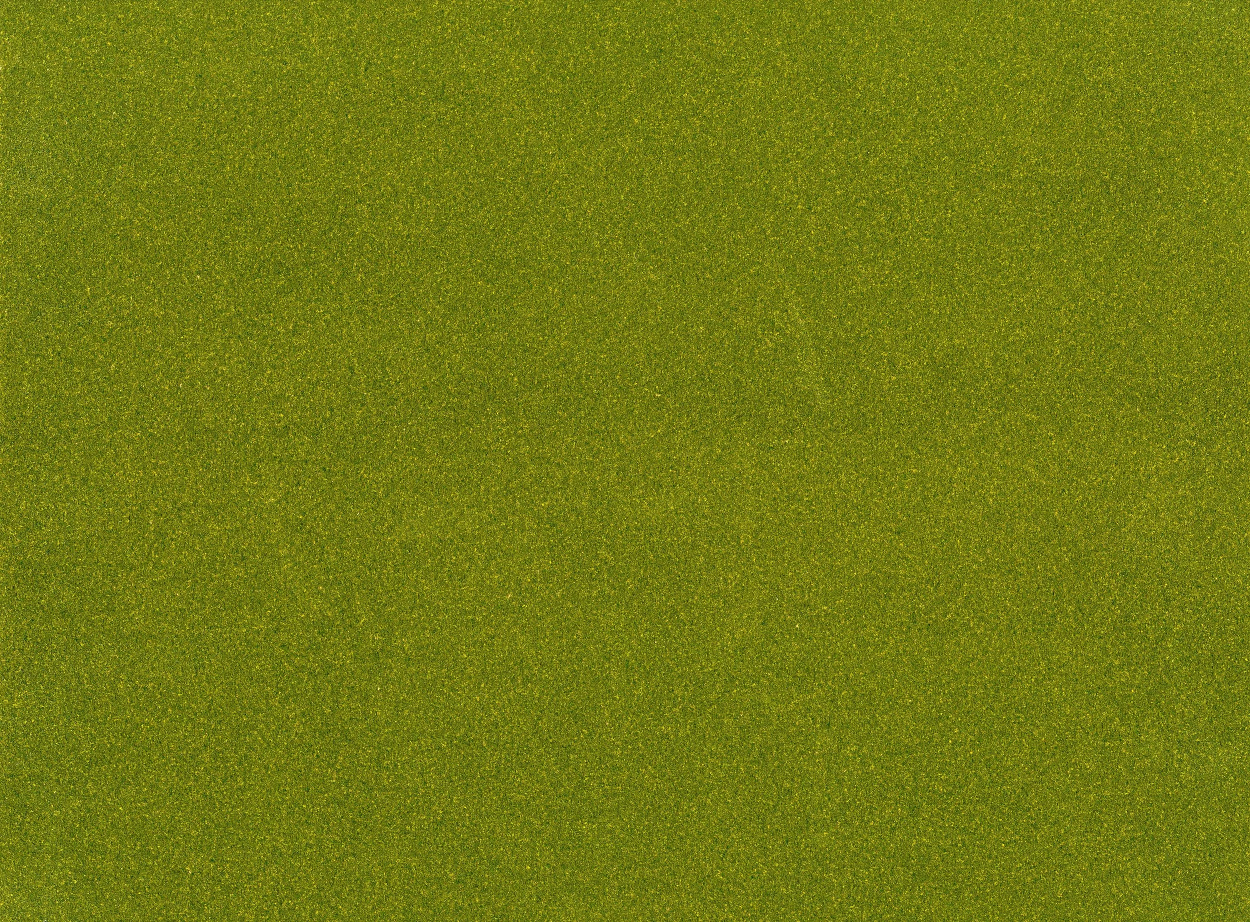 24.BackCover.jpg