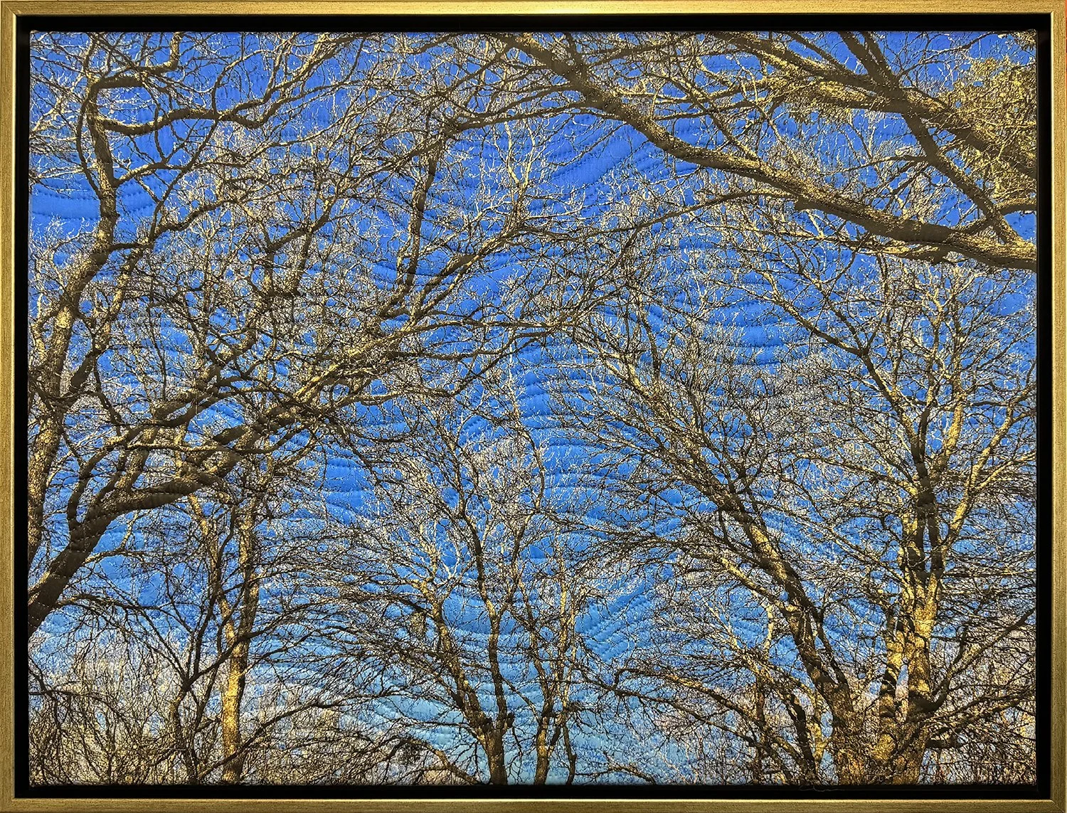 winter sky texas-framed-ss.jpg