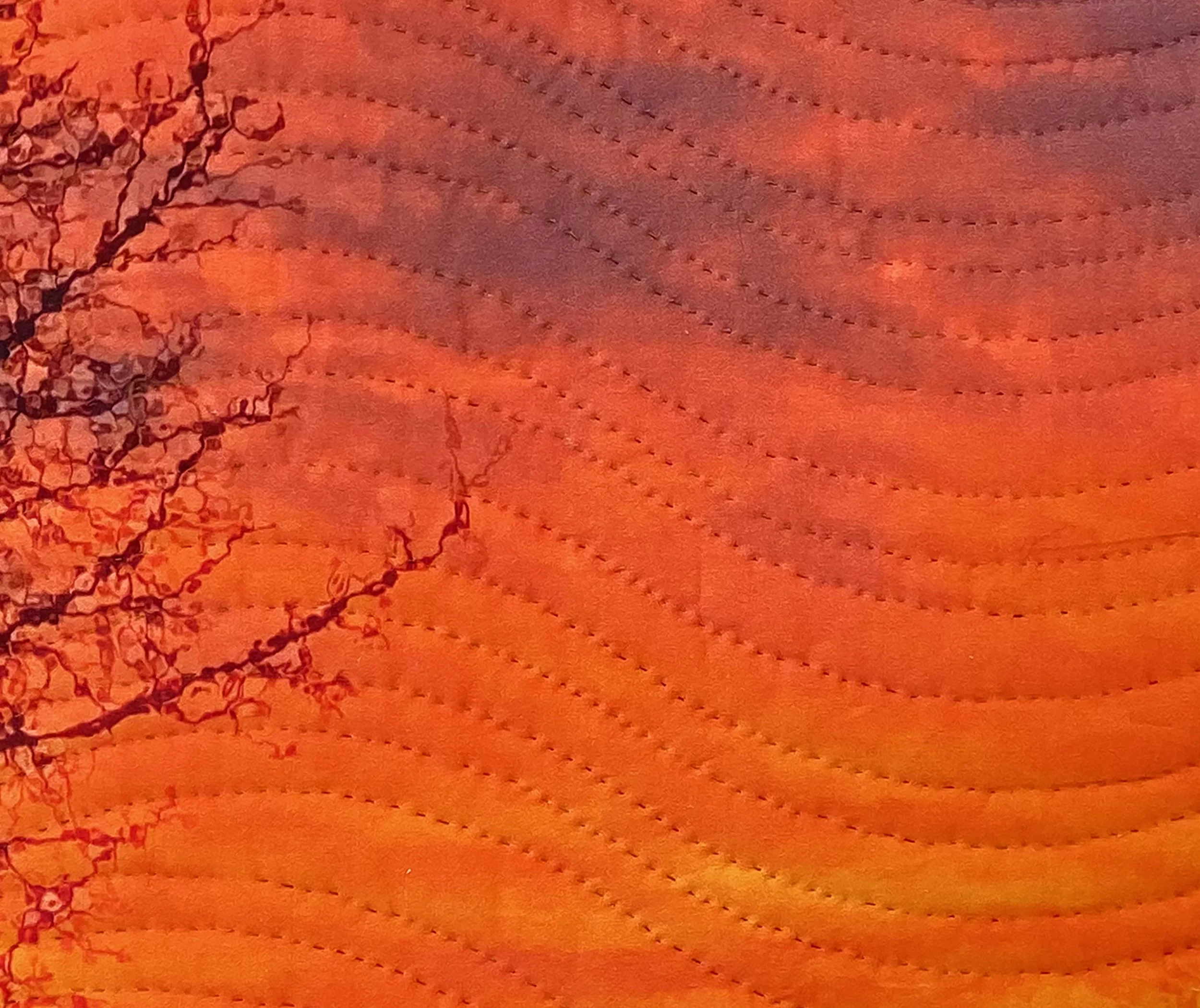 winter sunset-plano dtl.jpg