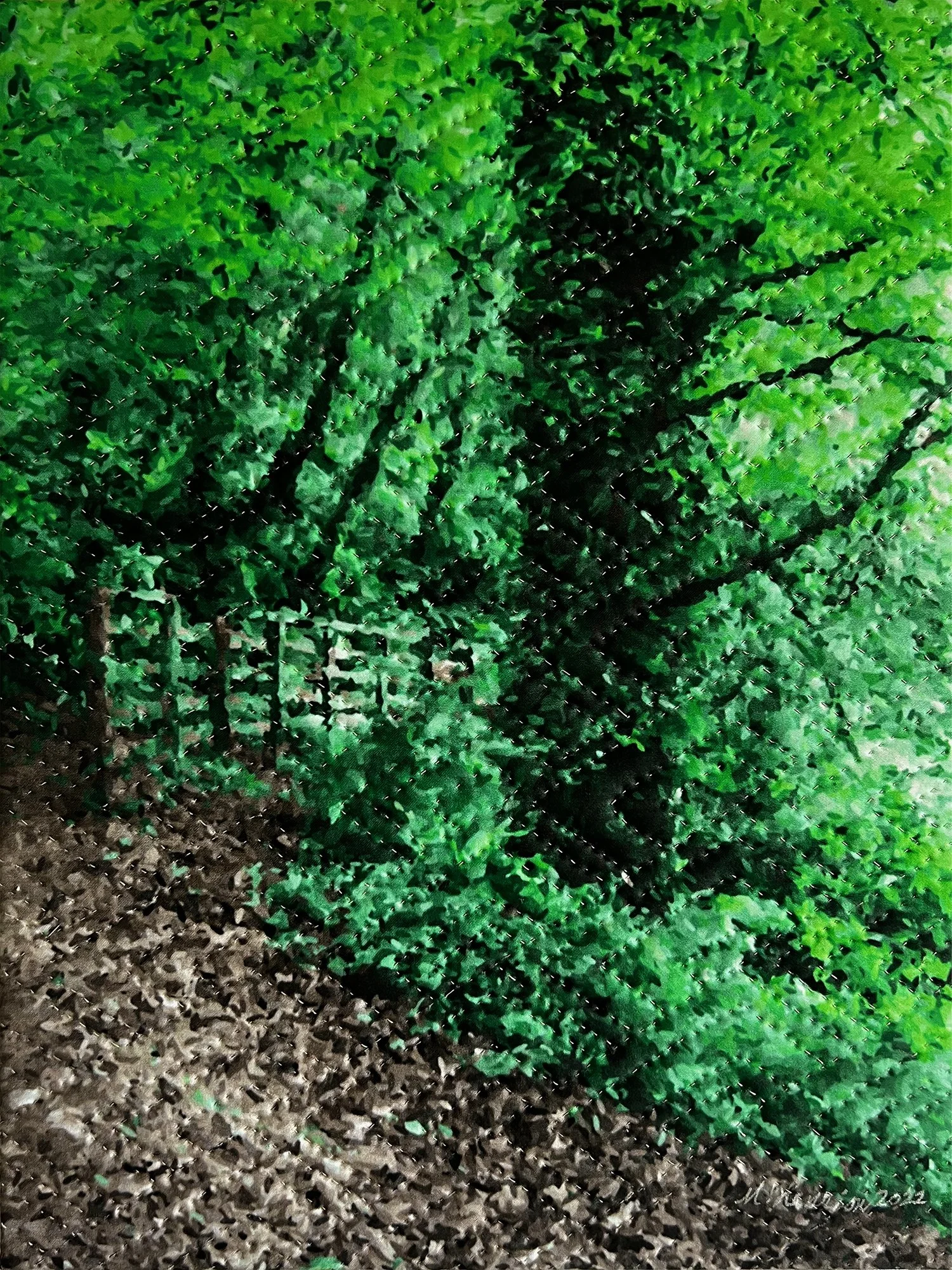 blackwater river ireland-ss.jpg