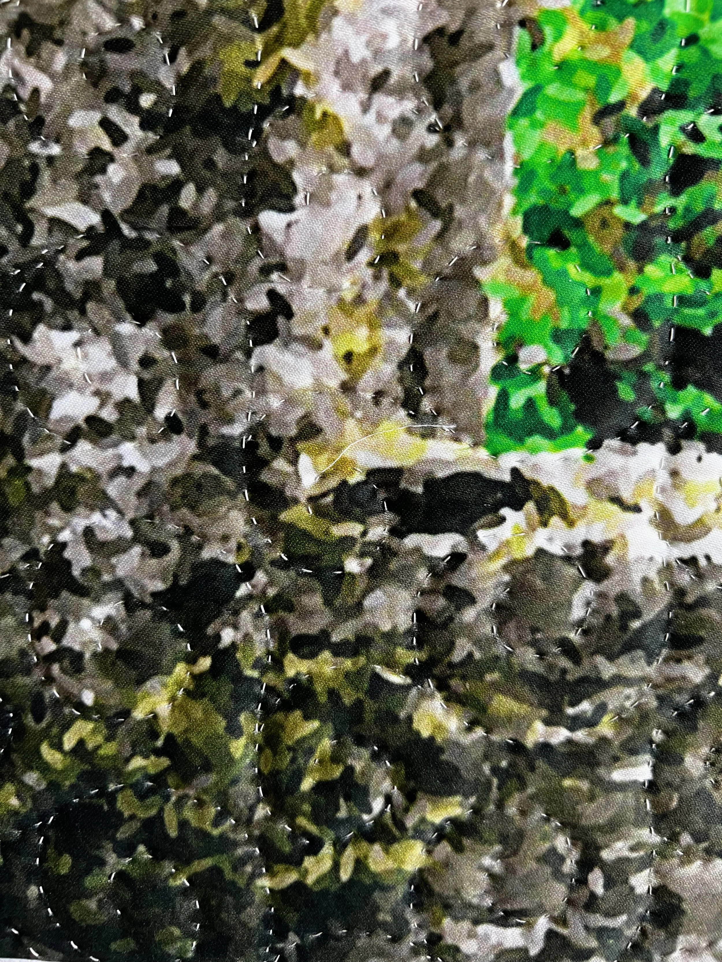 lismore echo 2-dtl.jpg