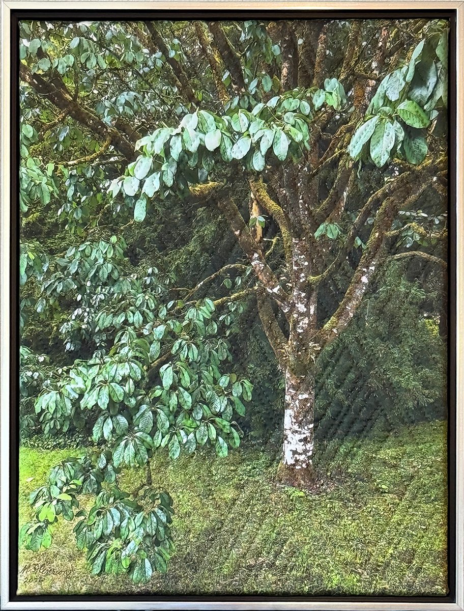 tree-lismore ireland-framed-ss.jpg