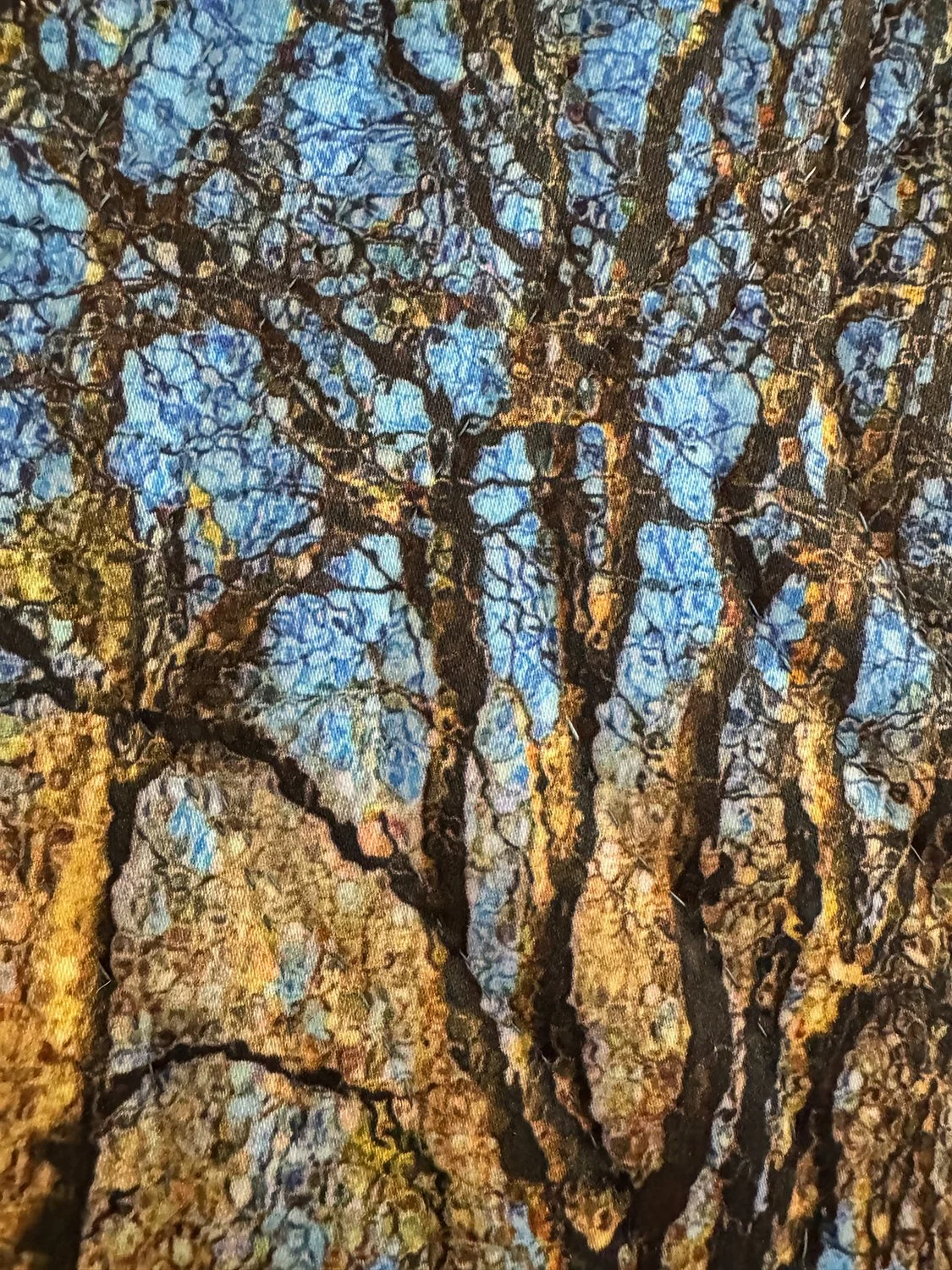 winter sunlight-addison-dtl-ss.jpg