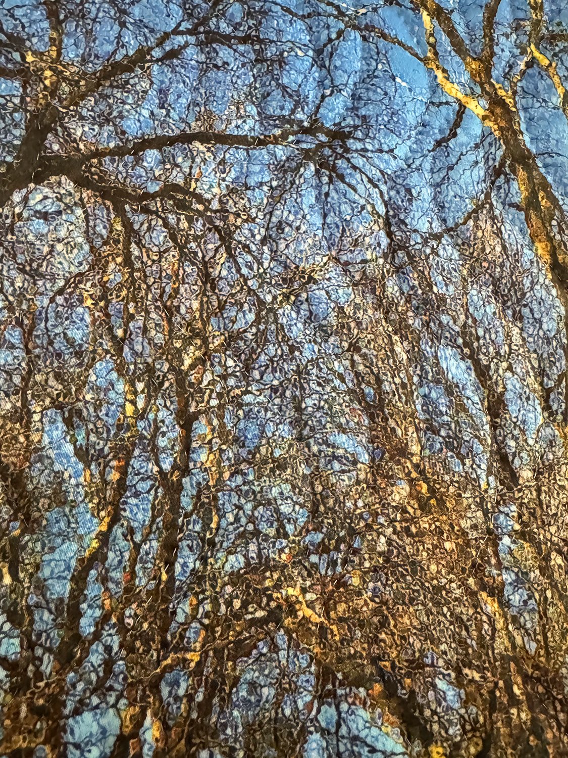 winter sunlight-addison texas-dtl-ss.jpg