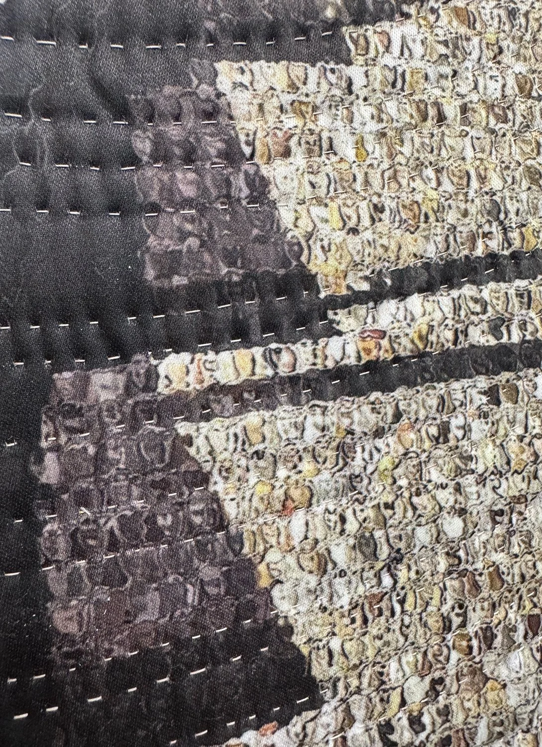 pp 11-night shadows-dtl.jpg