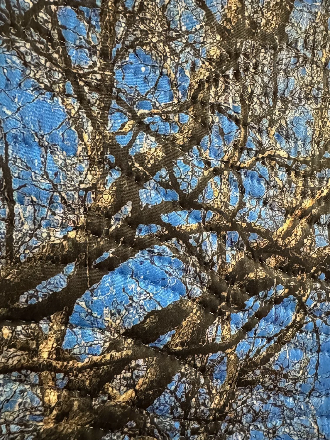 winter sky texas-ss.jpg