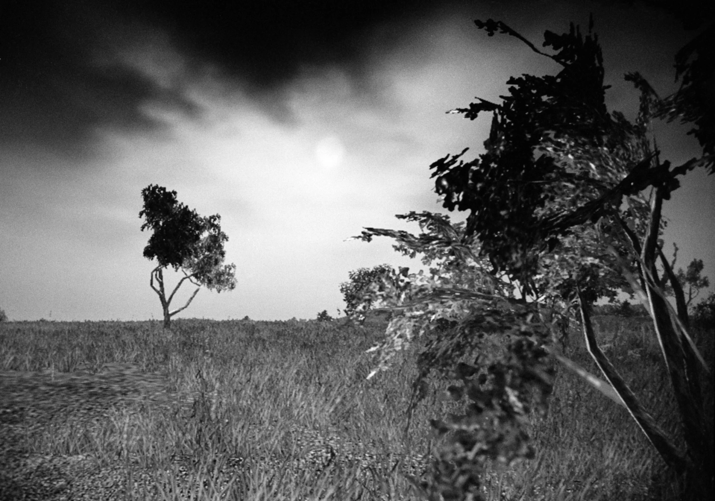 Landscape 7, with two trees