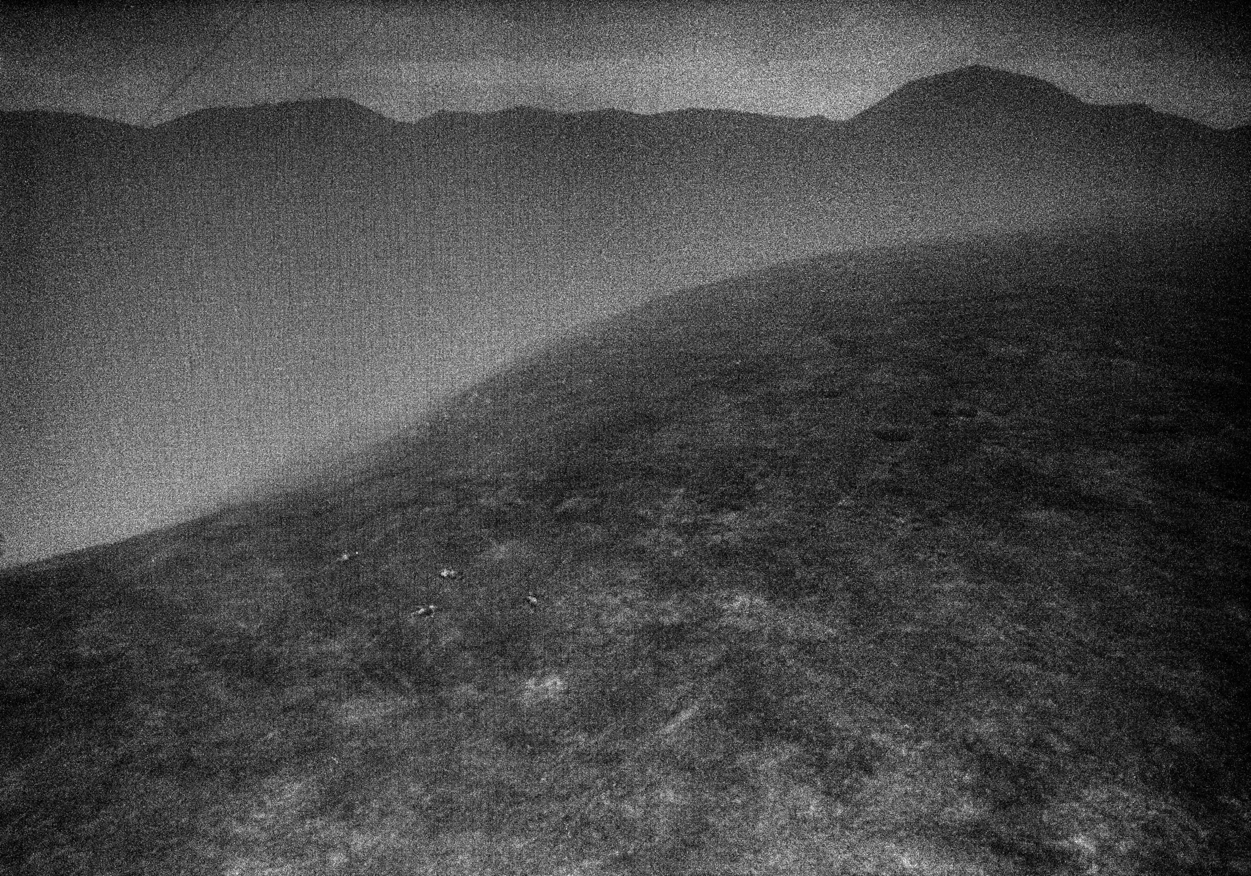 Landscape 9, hillside in fog