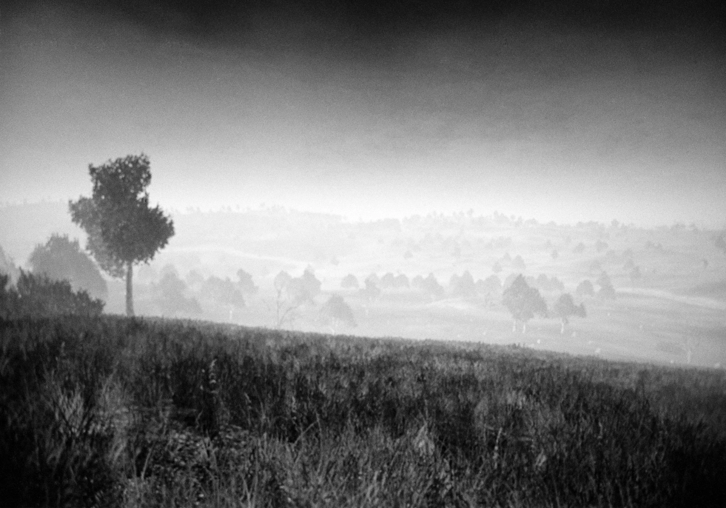 Landscape 2, with atmospheric prespective