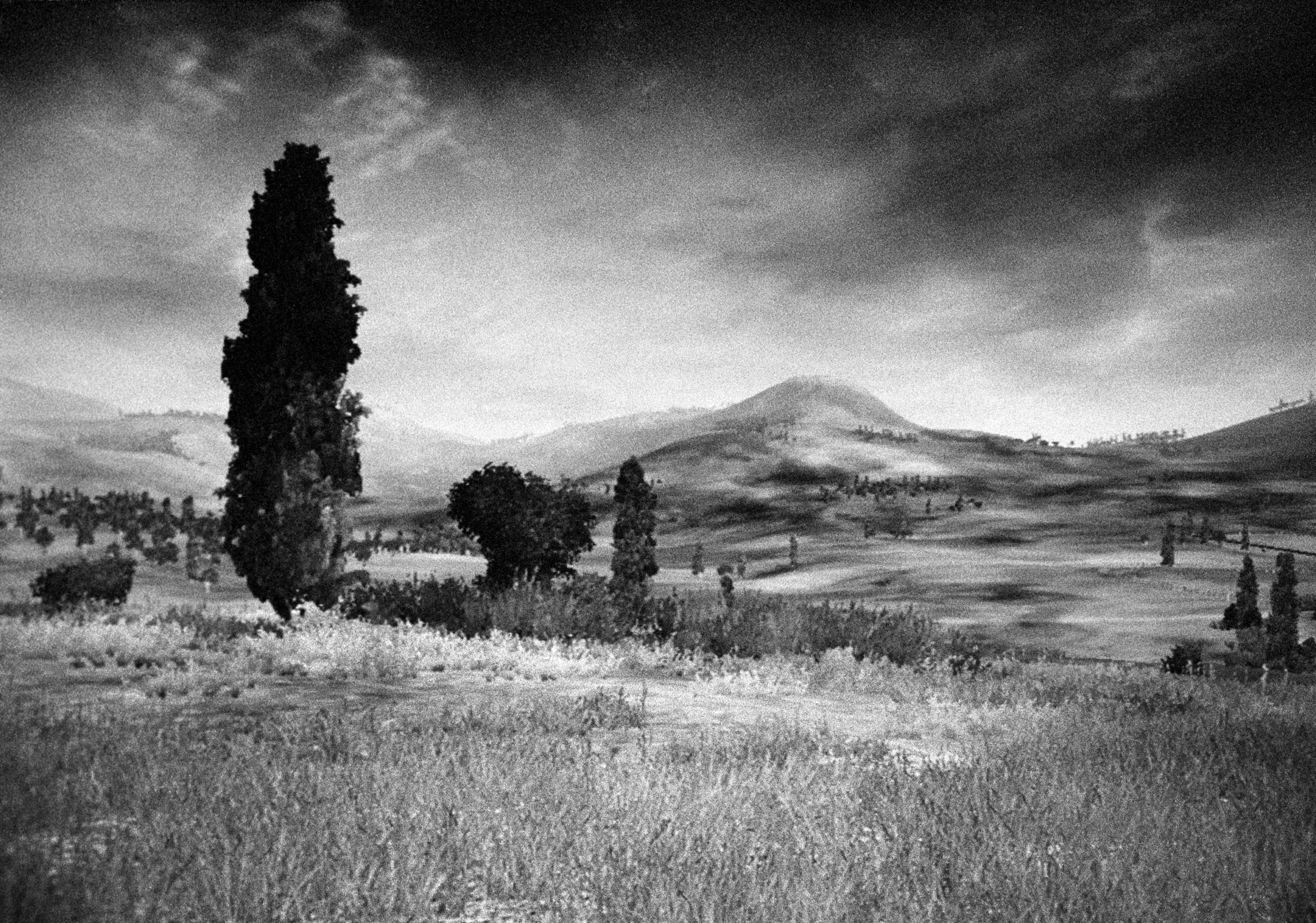 Landscape 5, with cyrpress tree and mountain