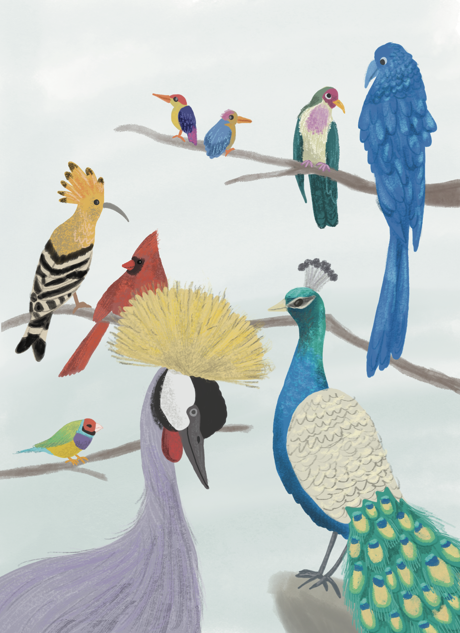 birds.png