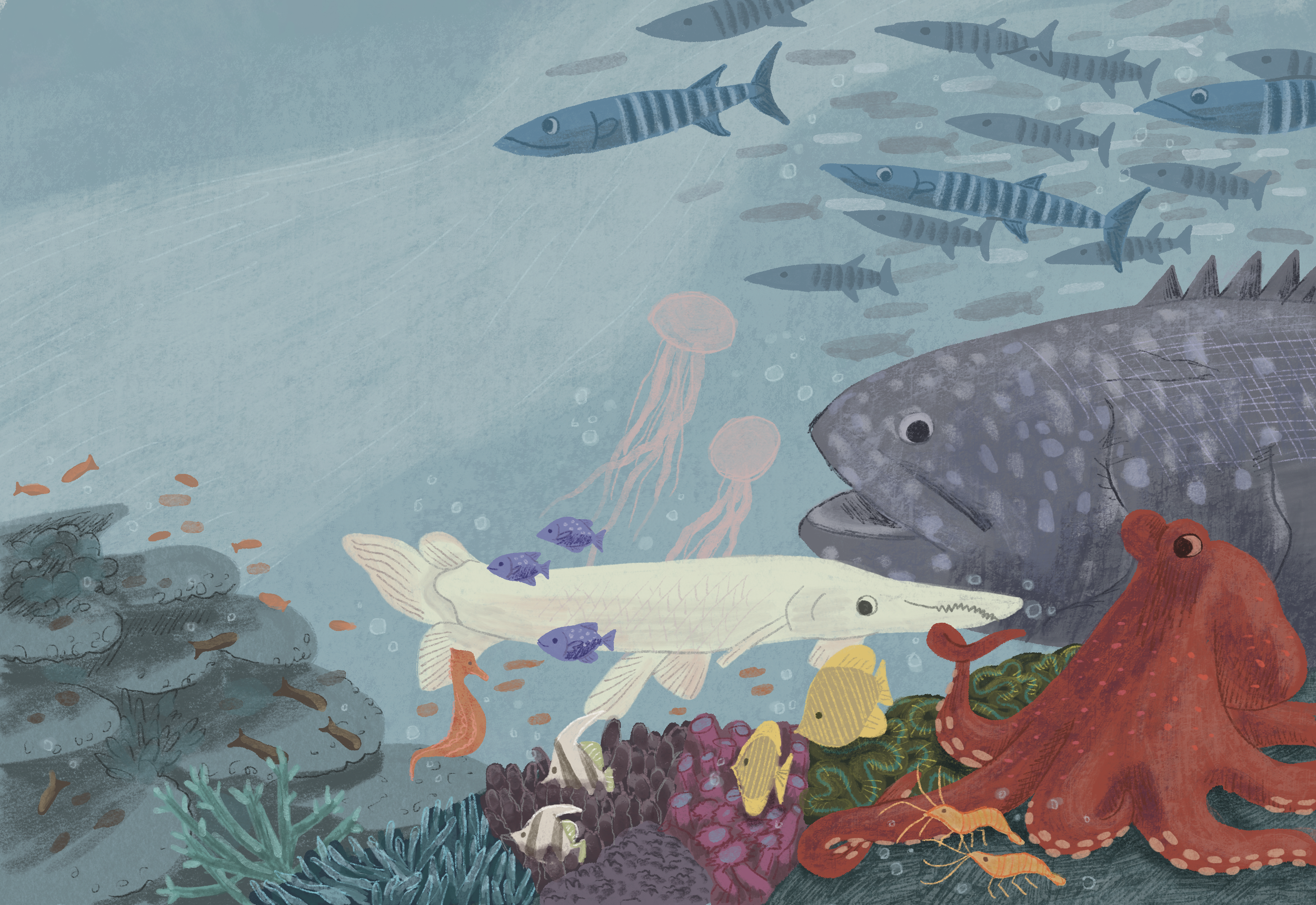 sea_creatures.png