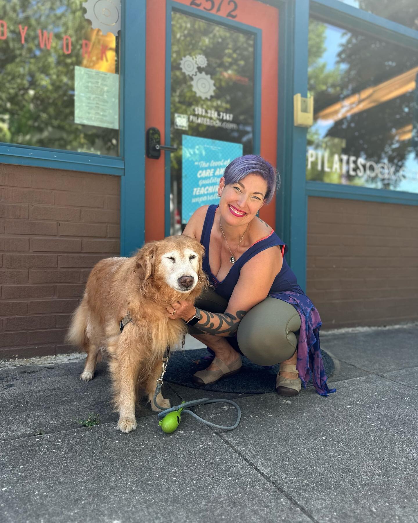bodymechanics is the studio where ALL dogs can learn new tricks 🐾💕

#smallbusiness #pdxsmallbusiness #pdxstudio #pilatesstudio #pilatesportland #pilatespdx #womanowned