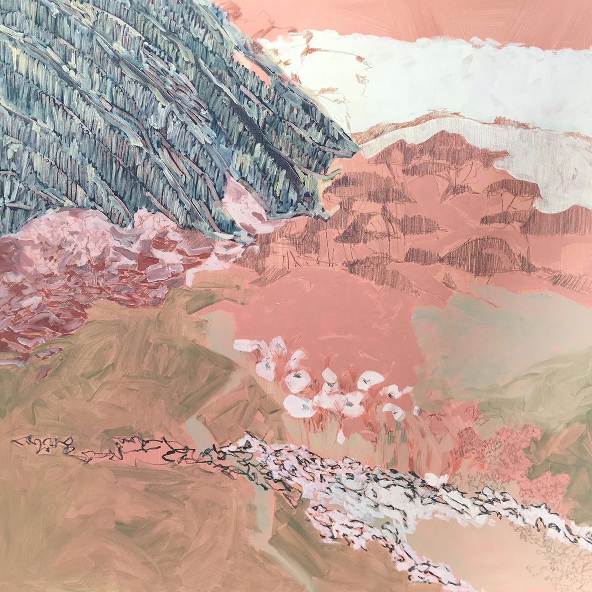 Barrabool Hills - Study no.2