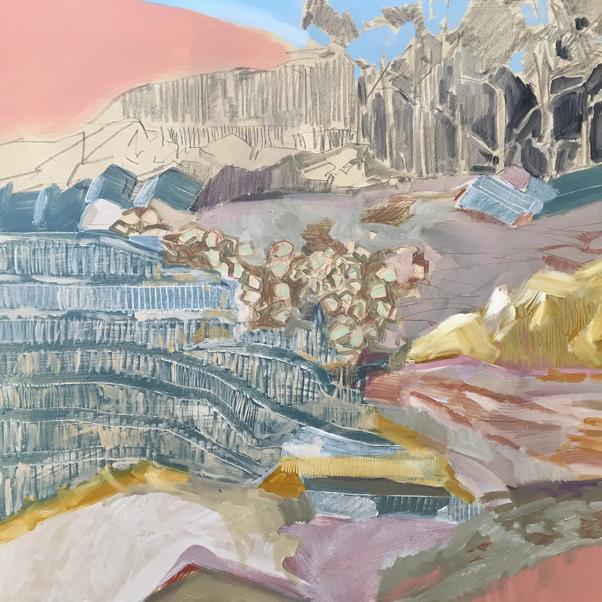 Barrabool Hills Study no.1