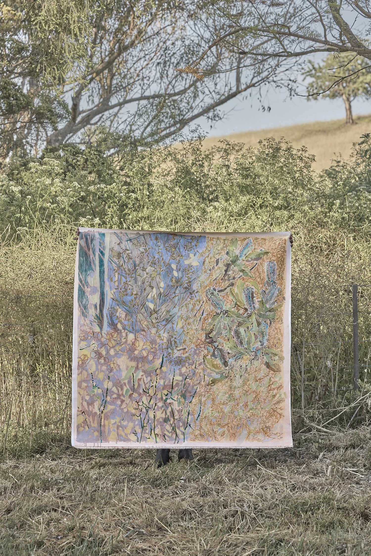  Banksia In A Weave Of Weeds, 125cm x 125cm | SOLD 