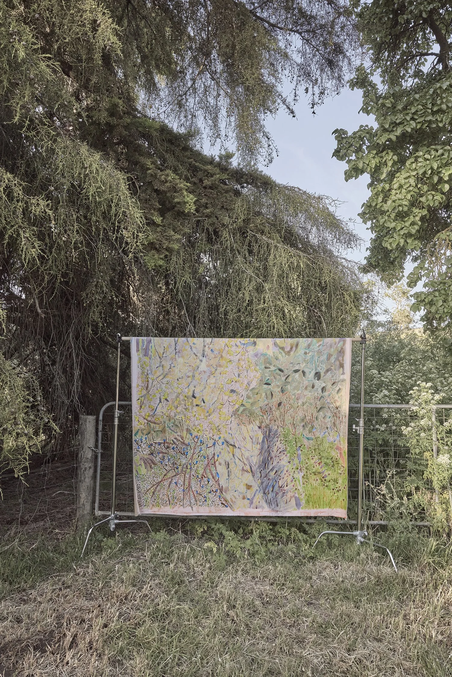  Beachside Clematis, 190cm x 140cm | SOLD 
