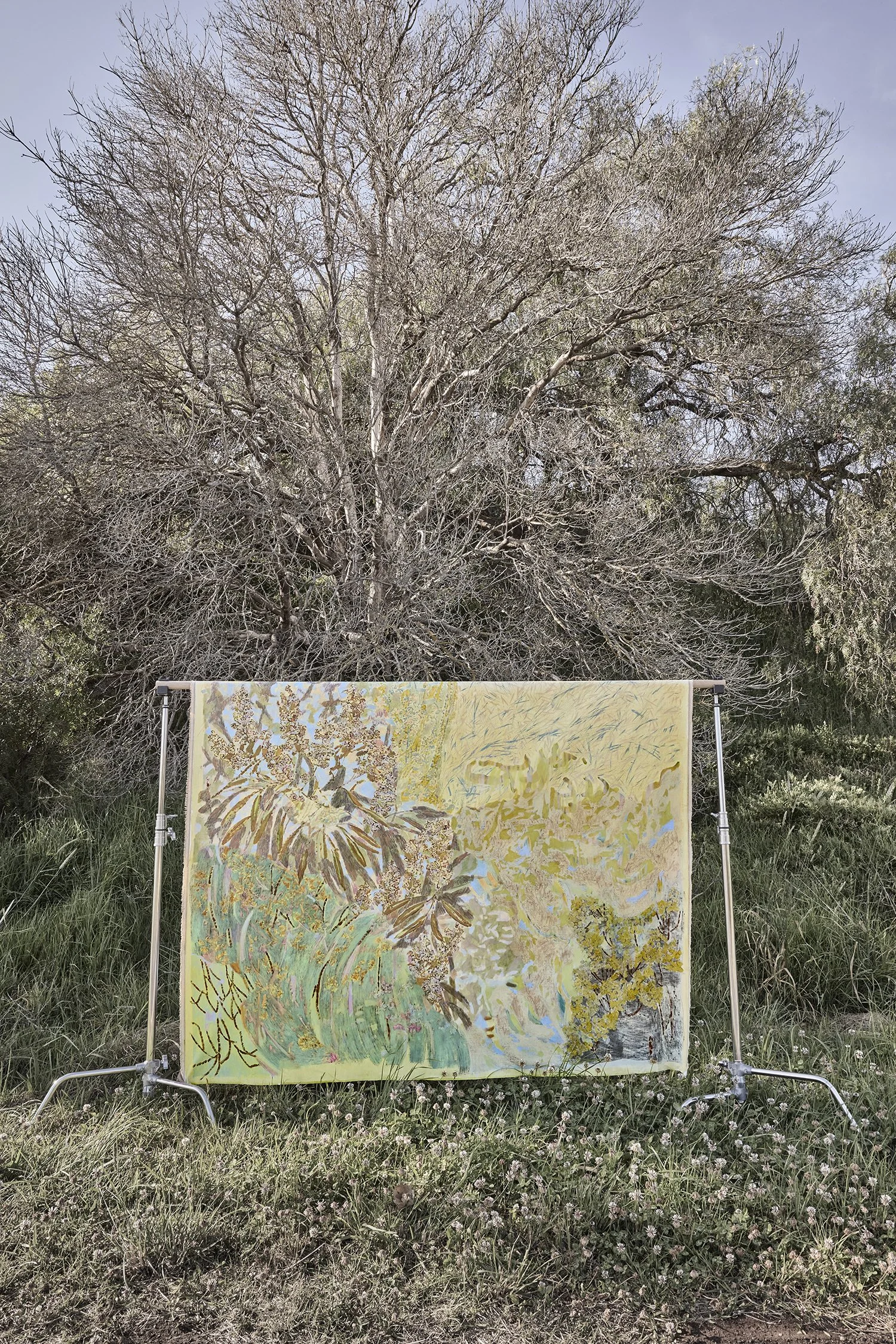  Majestics And Wattle Nuance, 190cm x 140cm | SOLD 