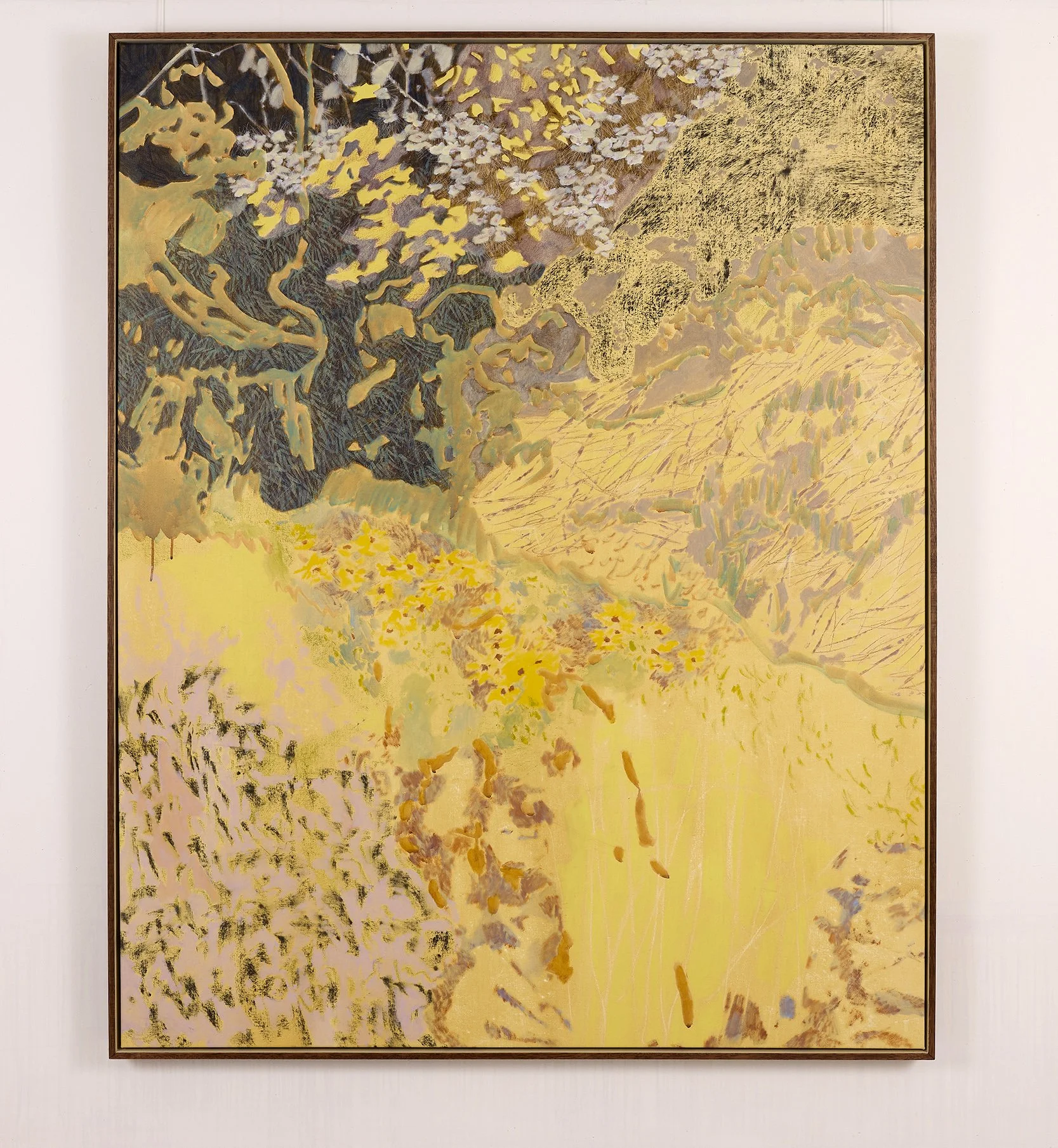 Shadow were deep in the summer sun_whitebackground_150.jpg