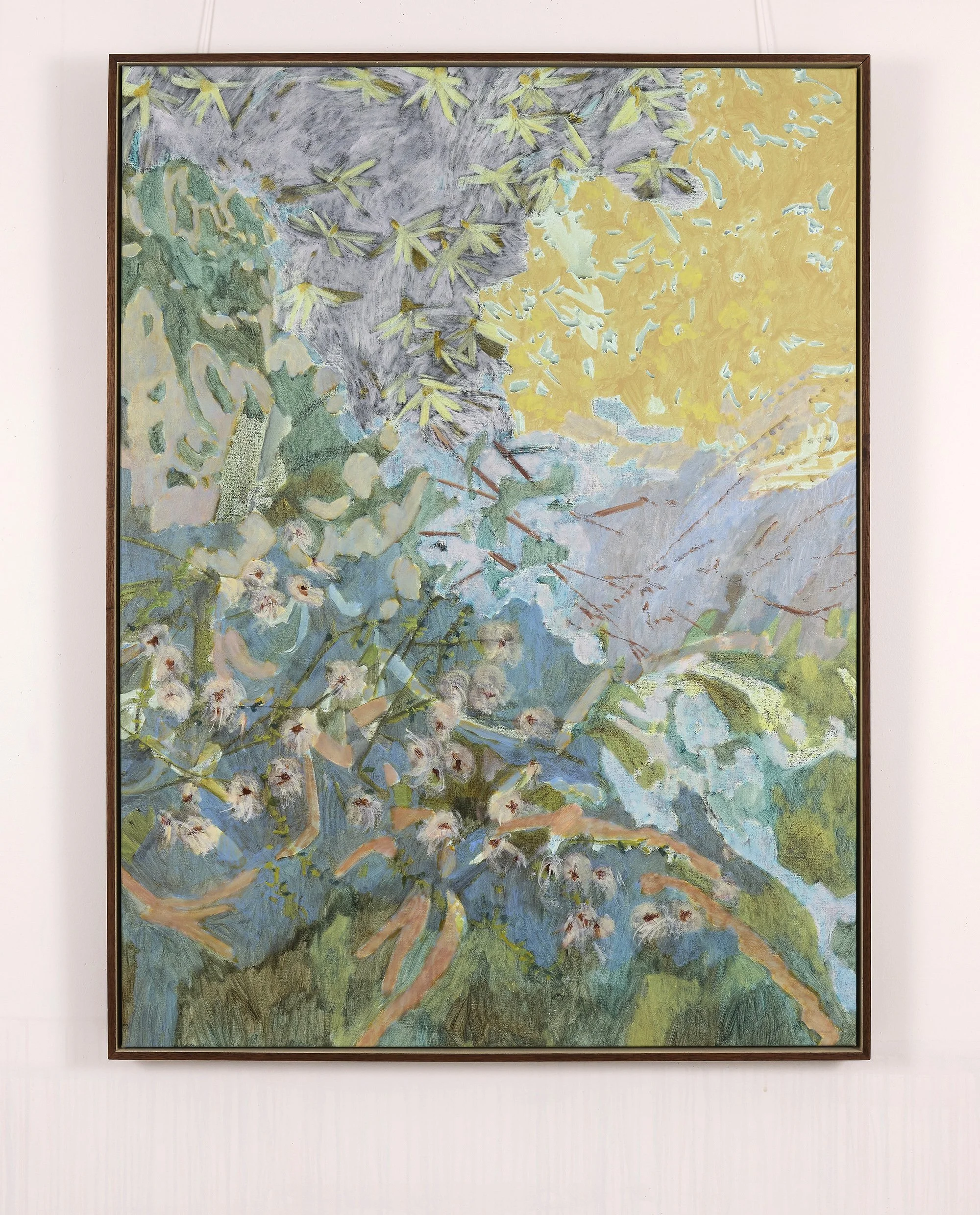 Aristata Lattice_whitebackground_150.jpg