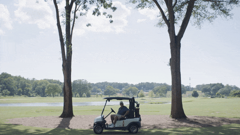 The Reversible Course