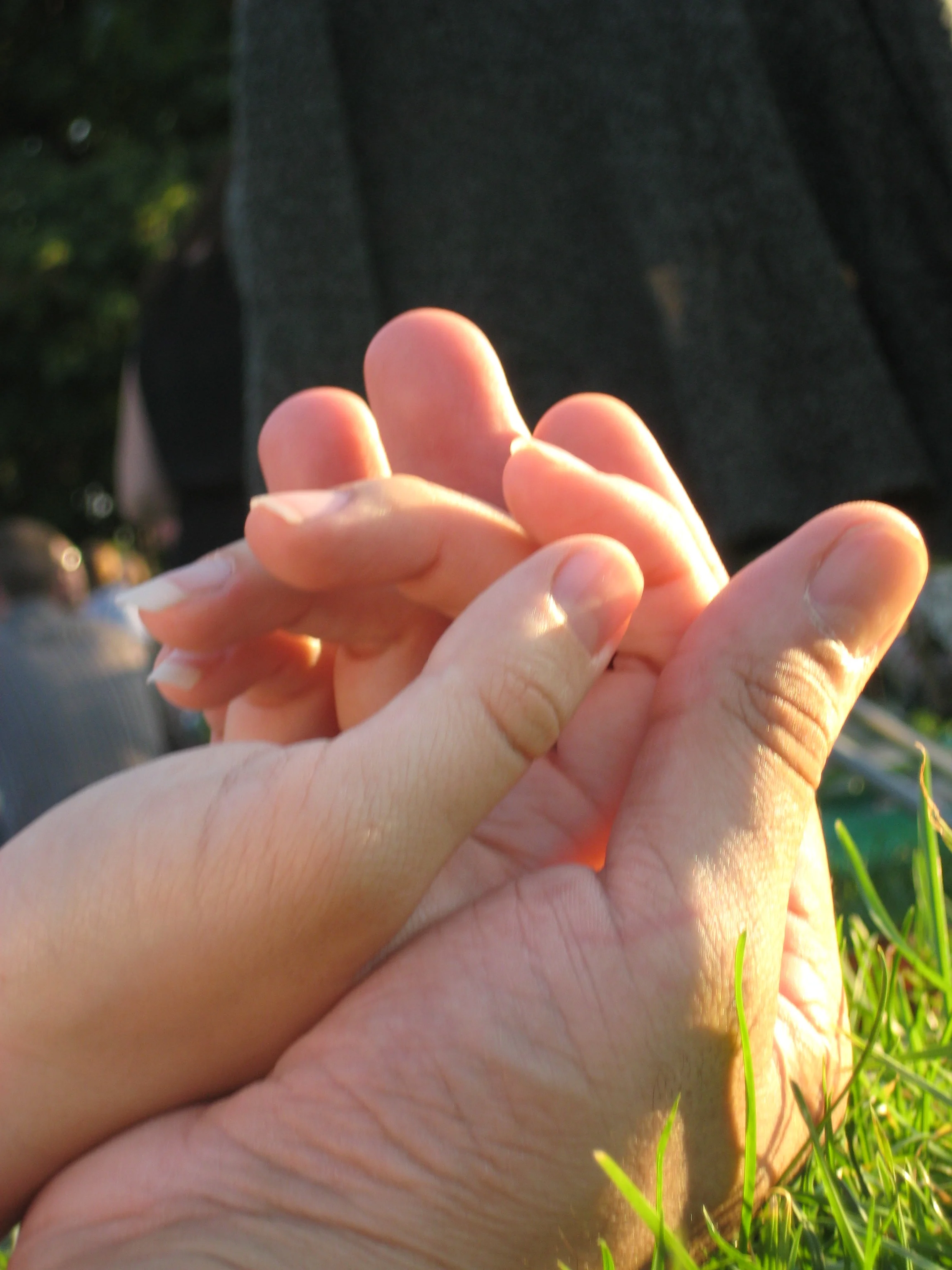 Hands.jpg