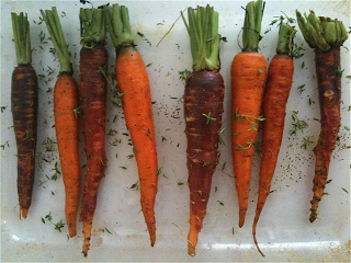 CarrotAndThyme.png