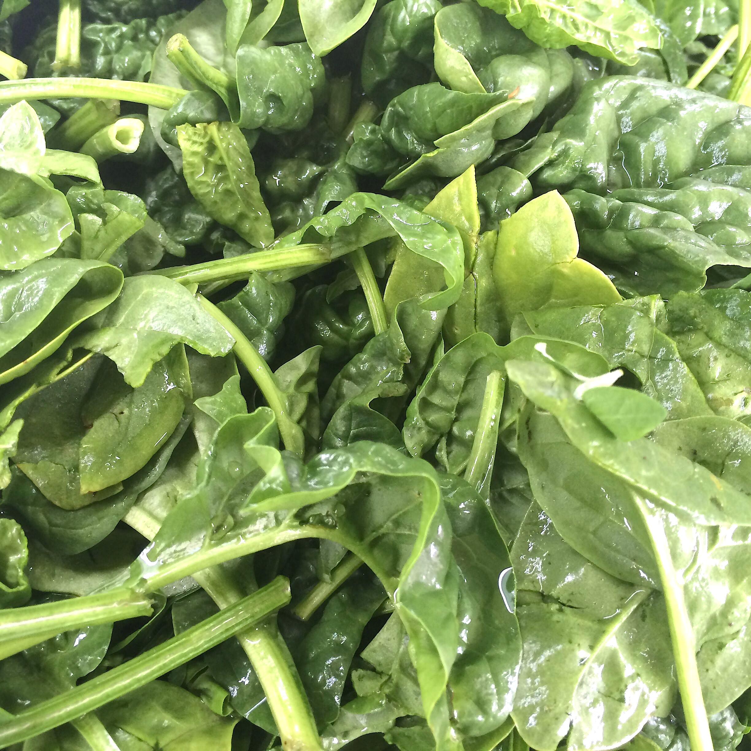 Fresh Farmers Market Spinach