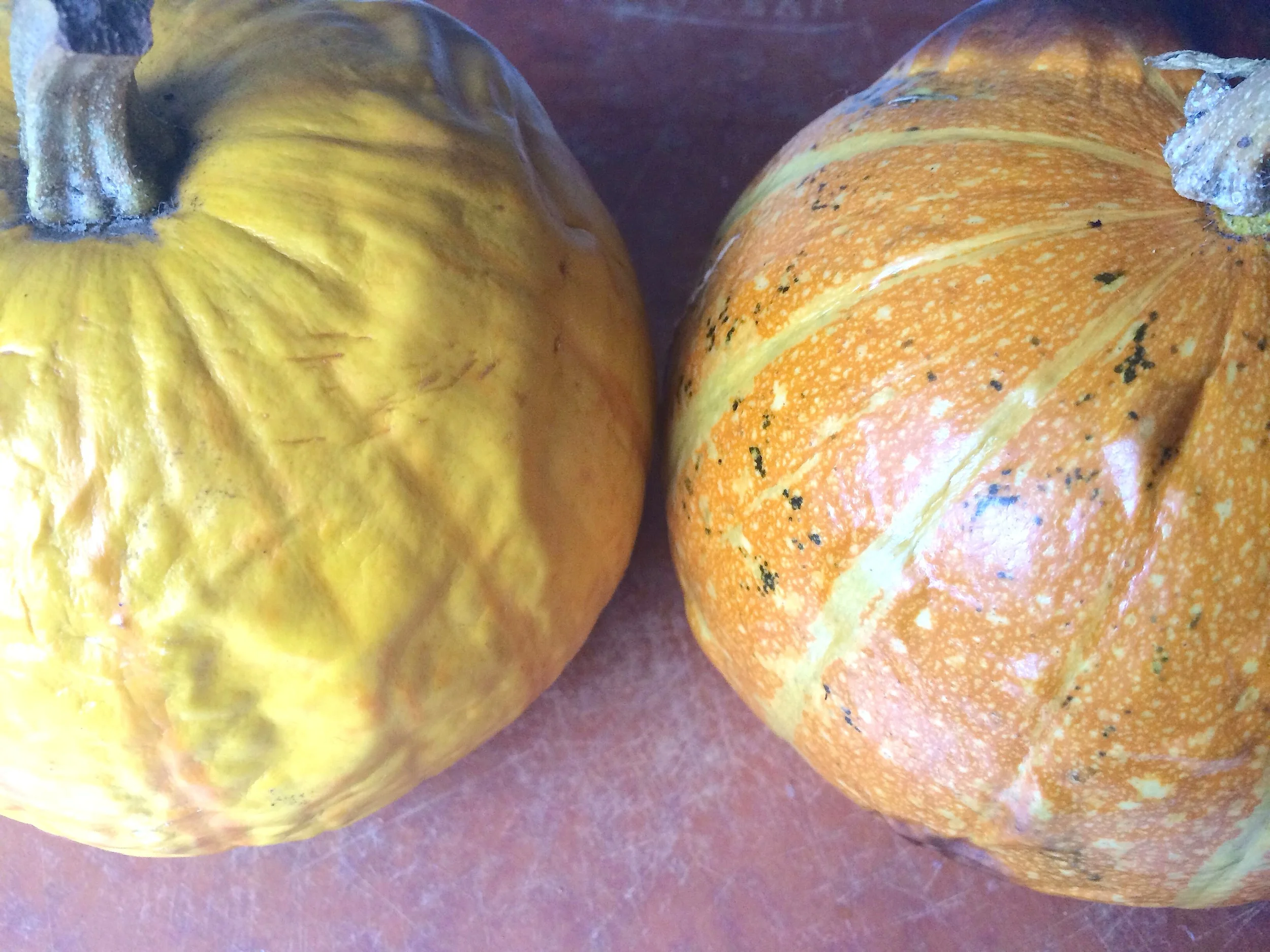 Pie pumpkins from the market, fresh out of the oven after roasting (these from Lonely Mountain Farm ).