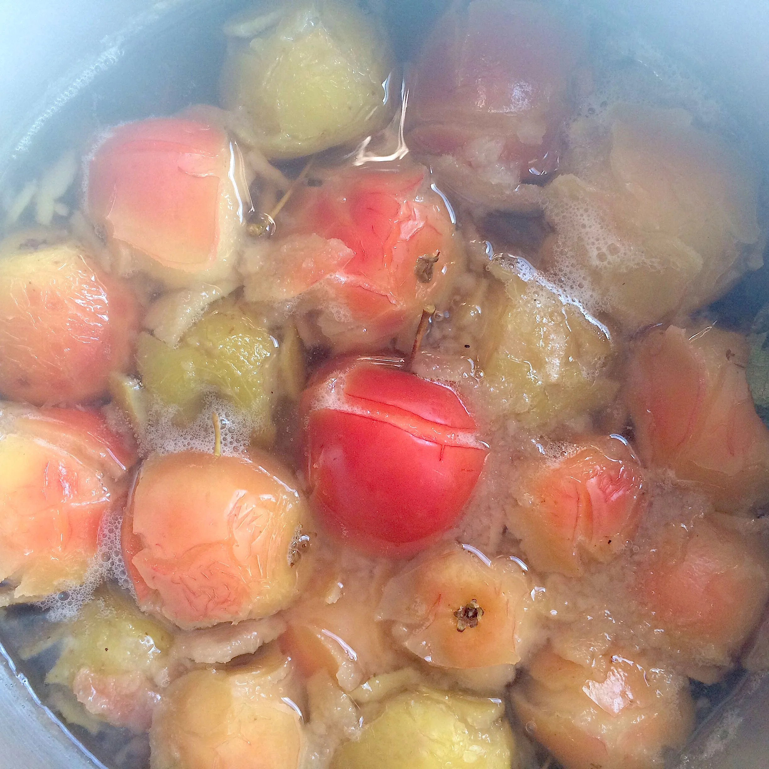 Crab Apple And Mint Jelly Days — Morning Berries